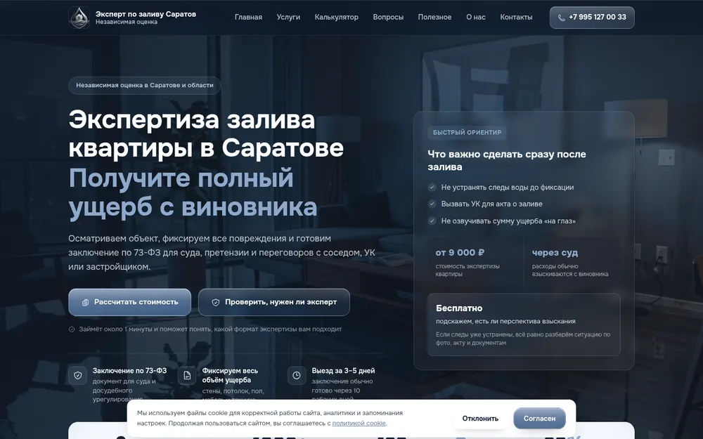 Скриншот сайта ZalivSar — Экспертиза заливов · Саратов